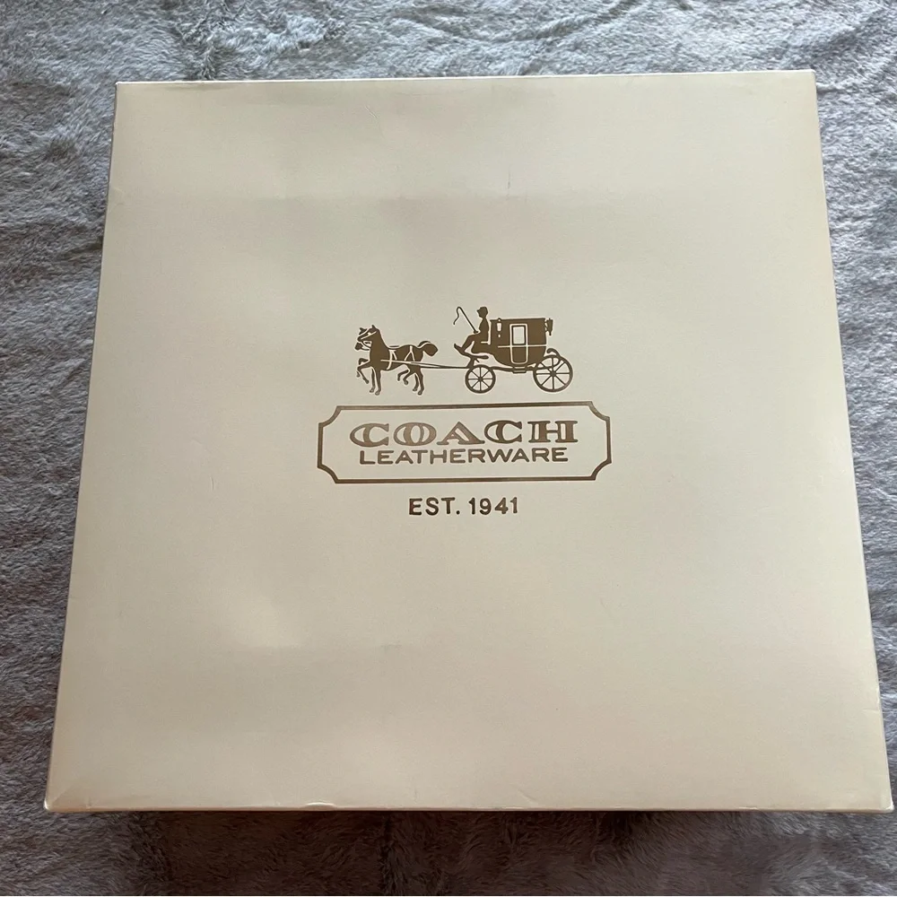 Coach Multicolor Striped XL Gift Box and Shopping Bag B - Picture 9 of 15